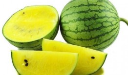 网红吃瓜事件详情图片,揭秘幕后真相与网络舆论风暴